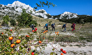 HIGHLANDER VELEBIT